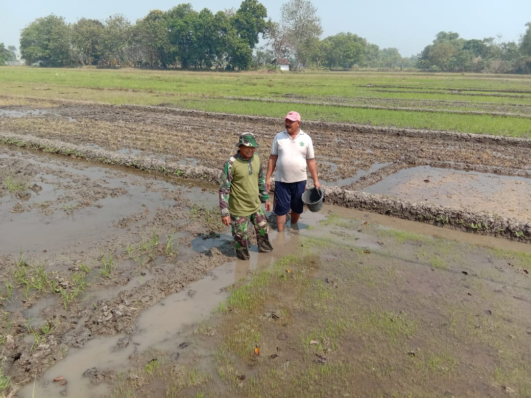 WhatsApp_Image_2019-07-01_at_11.11.43(1)_1