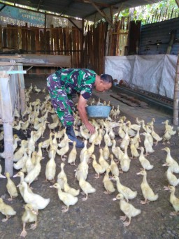 Aktifitas disela sela padatnya tugas sebagai Babinsa Koramil 0816/13 Wonoayu