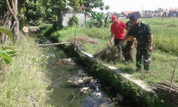Babinsa Ramil 0816/02 pantau jaringan irigasi