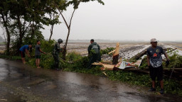 Diterjang Hujan Badai, Pohon Besar Tumbang di Sidoarjo — Babinsa dan Warga Bergerak Cepat Pulihkan Arus Lalu LIntas