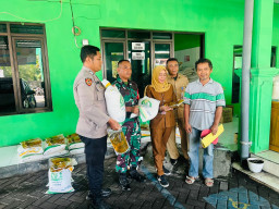 Kawal Ketahanan Pangan, Sertu Sucipto Pastikan Penyaluran Bansos di Kelurahan Gedang Tepat Sasaran
