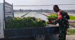 Sinergi TNI dan Poktan Wonokupang Perkuat Ketahanan Pangan Desa