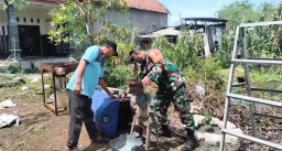 Babinsa Kedungpeluk Dorong Budidaya Kambing Modern dengan Pakan Fermentasi