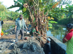 Jembatan Perintis Garuda Kodim 0816/Sidoarjo Percepat Akses Petani dan Perkuat Ketahanan Pangan