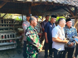 Peduli Peternak Lokal, Danramil Balongbendo Hadir di Tengah Masyarakat