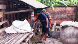 Babinsa Candi Dampingi Peternak Kambing, Perkuat Ketahanan Pangan Desa