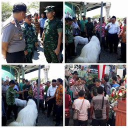 Dandim 0816 Sidoarjo kunjungi festival lomba ternak kambing dan sapi