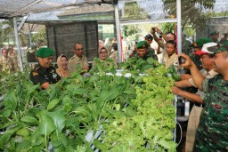 Dandim 0816 didampingi Kadis Pertabunak Sda resmikan rumah hidroponik Kodim 0816 Sidoarjo