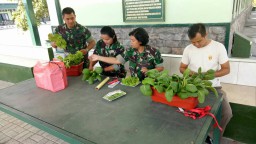 Panen Sayur Hidroponik di Makodim 0816
