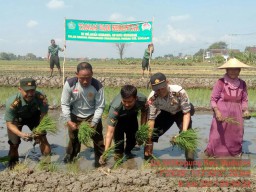 ANGGOTA KORAMIL 0816/03 BUDURAN MENDIRIKAN TENDA POSKO LTT DI DESA SIDOKEPUNG