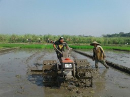 Serma A Rofiq K Melaksanakan Bajak Sawah Dengan Hand Traktor Bantuan Kodim 0816 Sda.