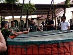 Kunker Dandim 0816/Sda, Kunjungi program pemberdayaan Ikan Lele dengan sistem Bioflok