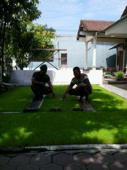 Tugas Pokok Babinsa 12 untuk mendampingi Poktan dalam program UPSUS