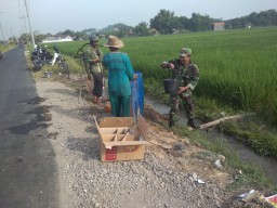 Gerakan pengendali hama penyemprotan padi di Desa Watersari