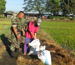 Komitmen TNI AD dalam Program Swasembada Pangan.