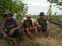 Babinsa Nglorog Komsos dengan Petani