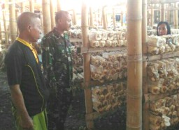 Kunjungan di kampung jamur oleh Danramil 0816/03