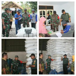 Peran Kodim 0816/Sda dalam kegiatan serap gabah petani