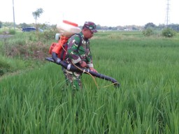 Koramil 0816/10 sebagai ujung tombak akan merubah nasib para petani