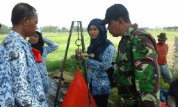 Ramil 05 Tingkatkan Program SSP dengan panen ubinan