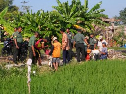 Upaya Khusus (UPSUS) Koramil Porong dalam Program Swasembada Pangan