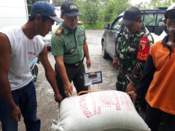 Babinsa Koramil 0816/ 06 Tanggulangin Bantu Petani Panen Padi.