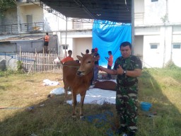 Anggota Ramil 07 Bersama Masyarakat Dalam Penyembelihan Hewan Qurban