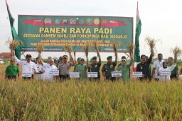 Panen Raya Padi diharapkan dapat tingkatkan Kesejahteraan petani dan ketahanan pangan