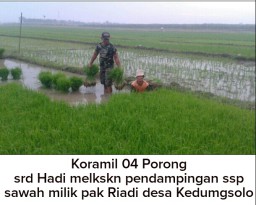 Upaya Koramil 0816/04 Porong dalam mensukseskan Program pemerintahan dibidang Swasembada Pangan