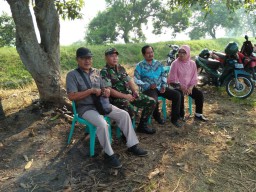 DANRAMIL KOMSOS DENGAN MAN'TAN, PPL DAN KETUA GAPOKTAN SUBUR MAKMUR