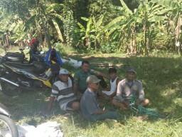 Indahnya kebersamaan Babinsa 01 bersama para petani