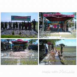 Tanam Padi Serentak Di Desa Keper Kec. Krembung.