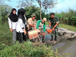 Babinsa 01 dampingi petani melaksanakan penyemprotan hama padi