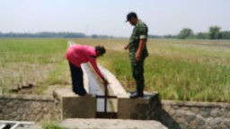 Sukseskan Program Swasembada Pangan