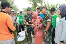 Dandim 0816/Sidoarjo melaksanakan penghitungan panen padi secara ubinan
