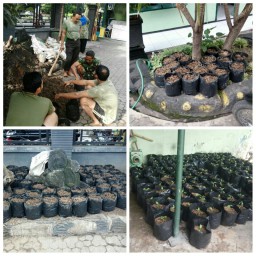 Bantu tekan harga cabe, anggota Ramil 01/Sidoarjo antusias dalam menanam cabe di Polybag