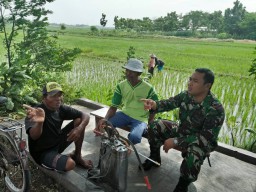 Bentuk dukungan TNI AD terhadap pemerintah dalam mewujudkan Swasembada Pangan Nasional