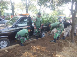 Koramil 02/Candi ikuti aksi tanam massal