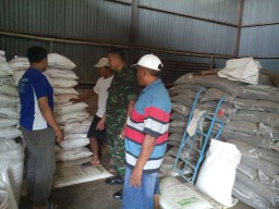 Babinsa Koramil 02/Candi yakinkan stok pupuk aman