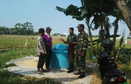 Meskipun Masih Dalam Suasana Lebaran, Babinsa Tetap Laksanakan Pendampingan Pertanian
