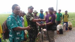 KORAMIL BERSAMA MANTRI TANI DAN POKTAN TEKAN SERANGAN HAMA WERENG COKLAT DENGAN MELAKUKAN GERAKAN