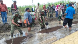 Sosialisasi Transplanter kepada Babinsa dan Gapoktan Sidoarjo