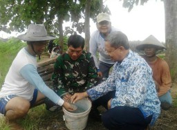 Babinsa 02/Candi dan PPL beri pelatihan cara pemupukan yang tepat