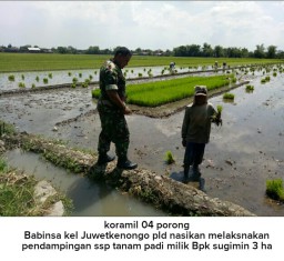 Pelda Nasikan, Demi NKRI Tugas di sawah pun SIAP
