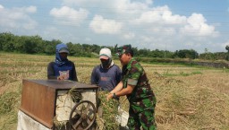 Upaya Babinsa Koramil 06 Tanggulangin guna dukung Swasembada pangan