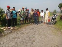 Babinsa 0816/09 dampingi poktan dalam pengendalian hama padi