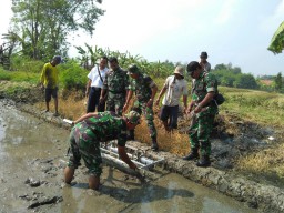 MENSUKSESKAN SSP, PPL BERSAMA KORAMIL 0816/10 UJI COBA ALAT TEKNOLOGI TABELA”