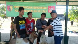 Idul Adha 1437 H/2016 Kodim Sidoarjo laksanakan pemotongan hewan kurban