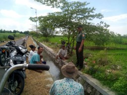 Peltu Suharto Pantau Irigasi Di Desa Keret Kec. Krembung.