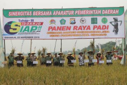 Panen Raya Guna Mendukung Pencapaian Program Swasembada Pangan